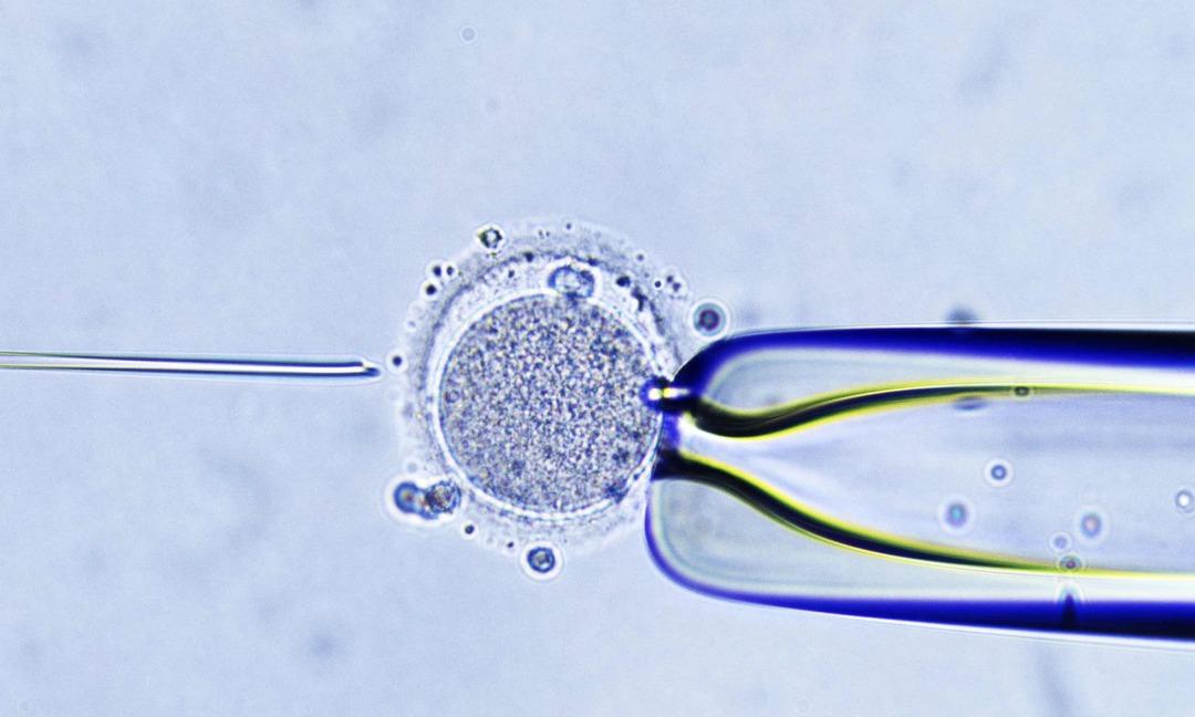 Skandal olay! Bir kadın yanlışlıkla başka birinin bebeğini doğurdu! Aylar sonra öğrendiler... 3