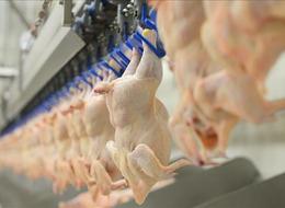 Şenpiliç'e ait bir üründe ölümcül bakteri tespit edildi! Tarım Bakanlığı doğruladı: Marketlerden toplanıyor