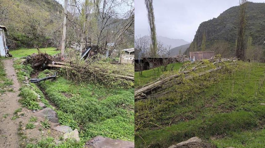 Çukurca’da şiddetli fırtına ağaçları devirdi