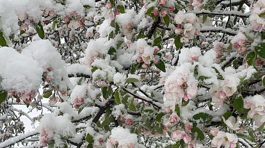 Bartın'da kar yağışı etkili oldu