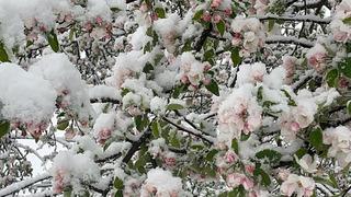 Bartın'da kar yağışı etkili oldu