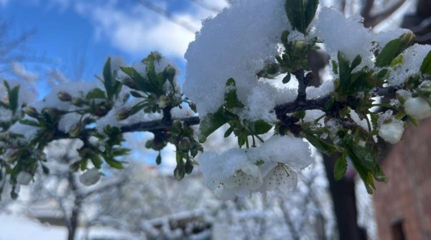 Tavşanlı'da beklenmedik sabah