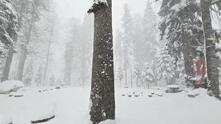 Düzce'nin yüksek kesimlerinde kar kalınlığı 50 santimetreye ulaştı