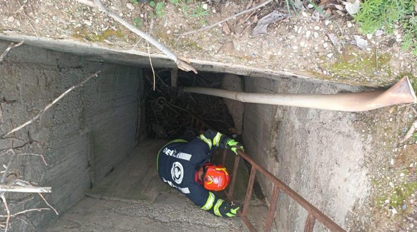 Kuyuya düsen koyun itfaiye ekipleri tarafından kurtarıldı