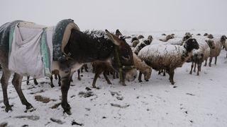 Bayburt’ta nisan ayında yoğun kar yağışı