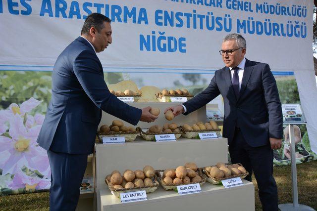 Yerli patates tophumu ihaleye çıkıyor