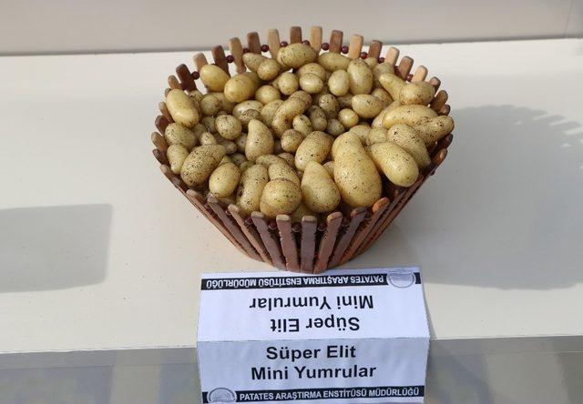 Yerli patates üreticiyle buluşacak