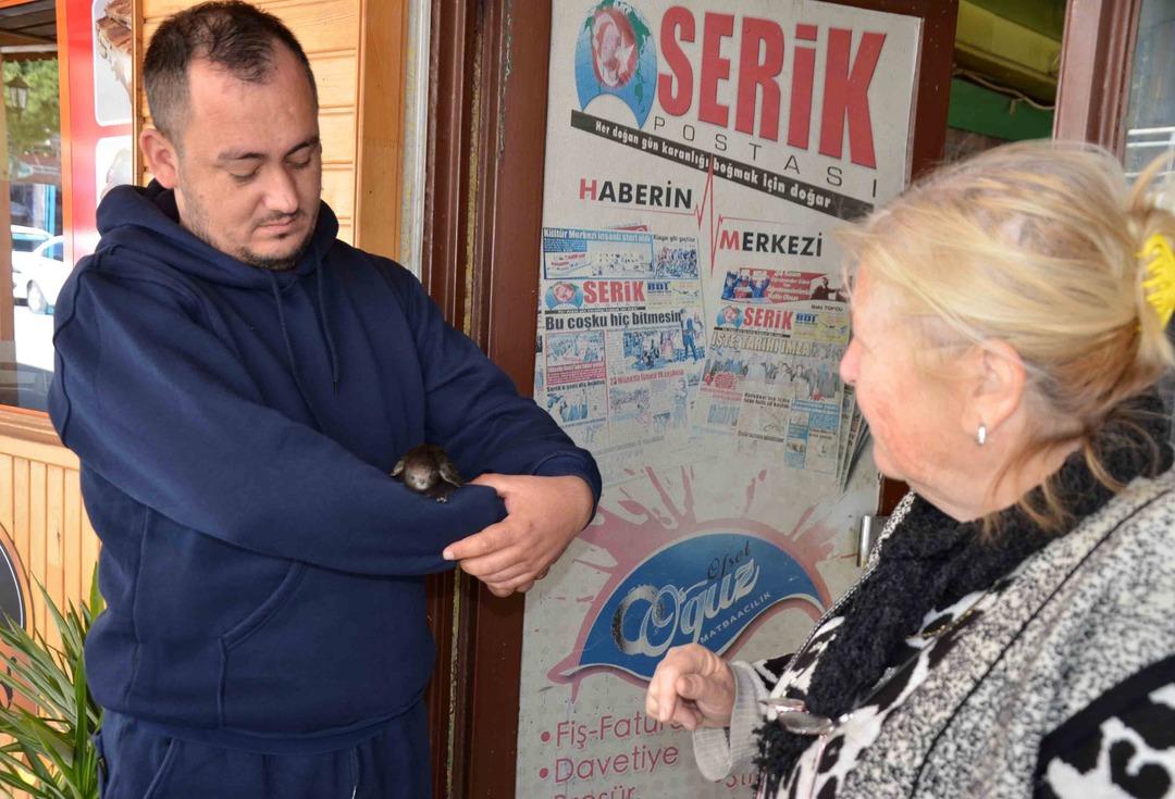 IS-YERINE-GIREN-EBABIL-KOLUNU-BIRAKMADI_655634_194277