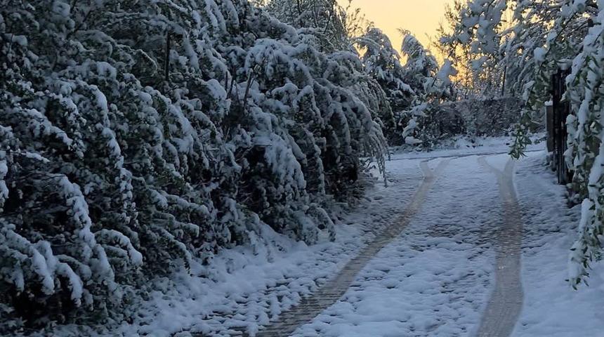 Malatya’da kayısı ağaçlarını don vurdu
