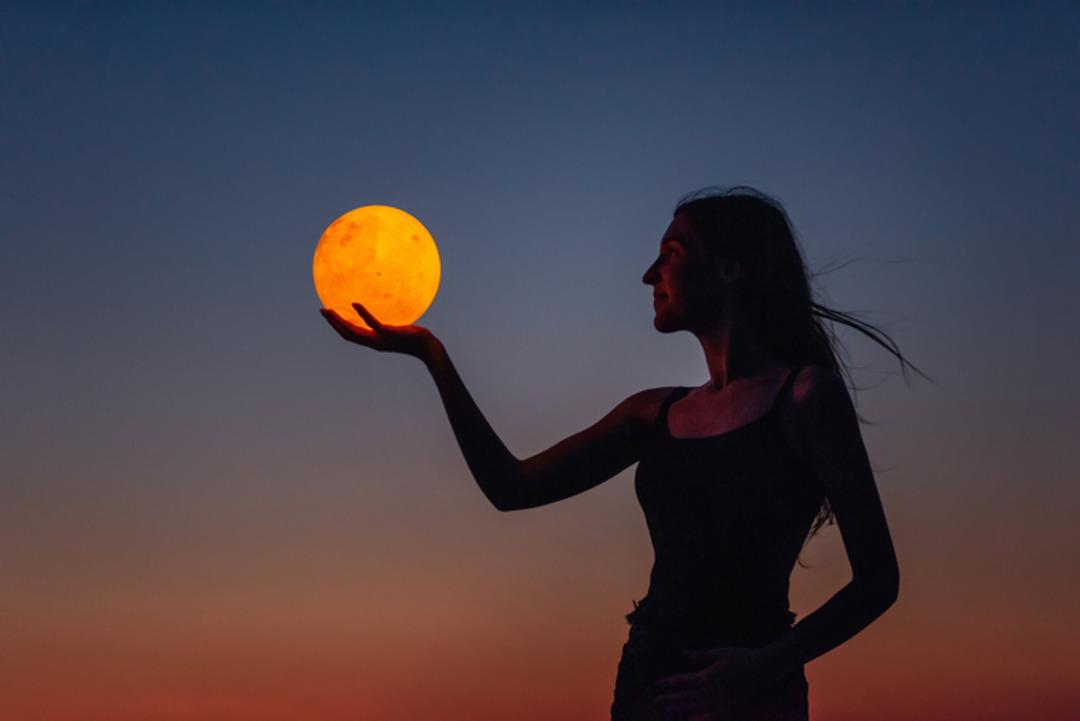 iStock-1483512821