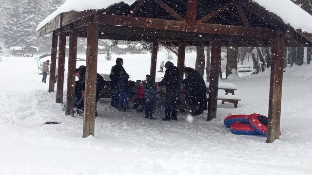 Abant Gölü Milli Parkı'nda kar kalınlığı 40 santime ulaştı! Bazısı piknik yaptı bazısı şambrellerle kaydı