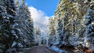 Tablo gibi görüntüler! Artvin nisanda yağan karla beyaza büründü