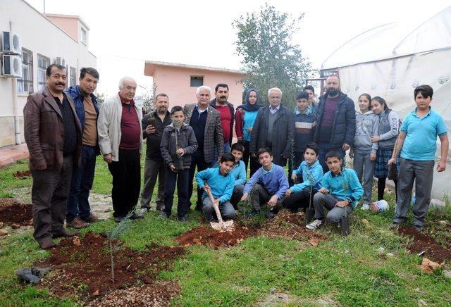 Erdemli Ziraat Odası okulları yeşillendiriyor