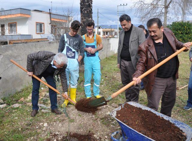 Erdemli Ziraat Odası okulları yeşillendiriyor