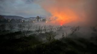 Düzce’de fındık bahçelerinde 'don ve buzlanma' ya karşı mücadele başlatıldı