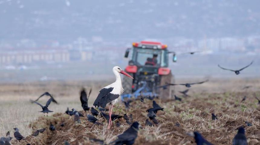 Çiftçilere zirai don uyarısı