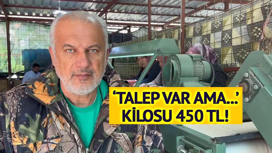 Kilosu 450 TL! Almanya, İngiltere ve Arap ülkelerine gönderiyorlar 'Fiyatlar çok düşük! Talep var ama...'