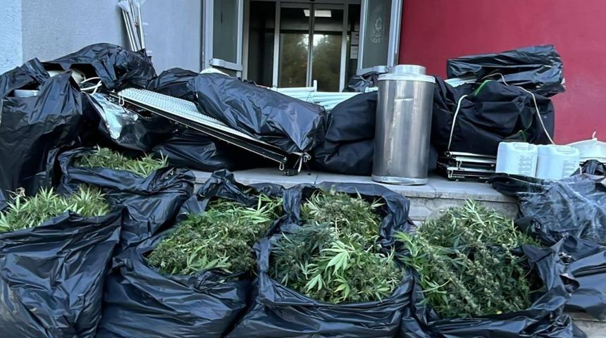 Adana'da evinde iklimlendirme sistemiyle kenevir yetiştiren zanlı yakalandı