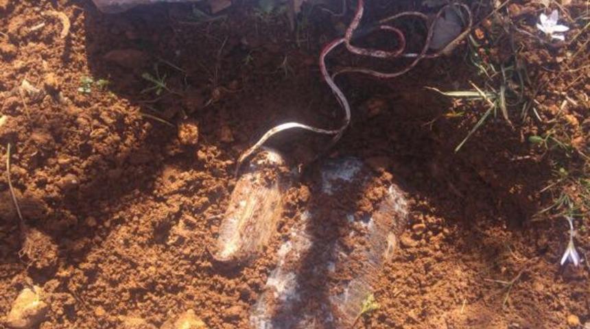 Bitlis'te PKK'nın el yapımı patlayıcıları bulundu