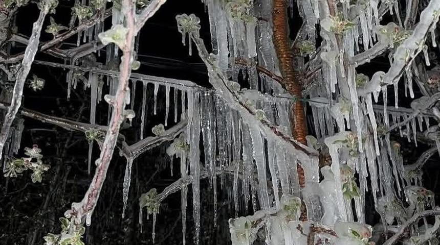 Kayseri'nin ilçelerini don vurdu