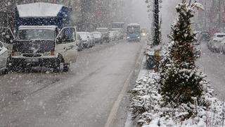 Van'da kar yağışı etkili oldu