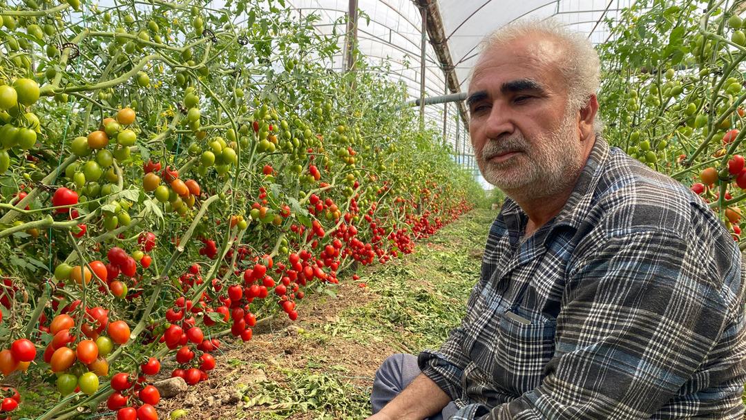 'Aradaki farkı kim yiyor' tepkisi! Onda 15 TL, markette 70 TL 'Başka geçim yolu arayacağım'