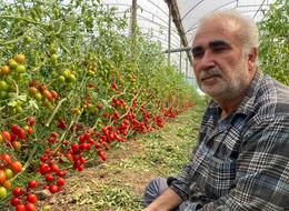 'Aradaki farkı kim yiyor' tepkisi! Onda 15 TL, markette 70 TL 'Başka geçim yolu arayacağım'