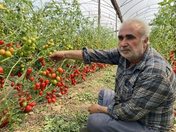 'Aradaki farkı kim yiyor' tepkisi! Onda 15 TL, markette 70 TL 'Başka geçim yolu arayacağım' G1