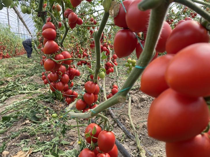 'Aradaki farkı kim yiyor' tepkisi! Onda 15 TL, markette 70 TL 'Başka geçim yolu arayacağım' G2