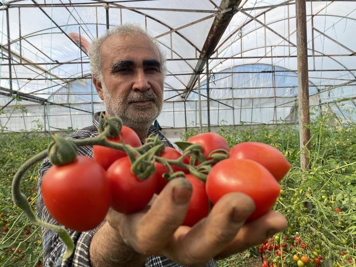 'Aradaki farkı kim yiyor' tepkisi! Onda 15 TL, markette 70 TL 'Başka geçim yolu arayacağım' G5