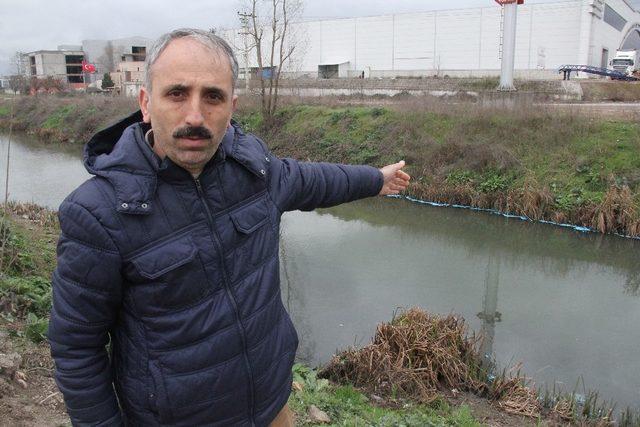 Şehrin göbeğindeki dere maviye boyandı