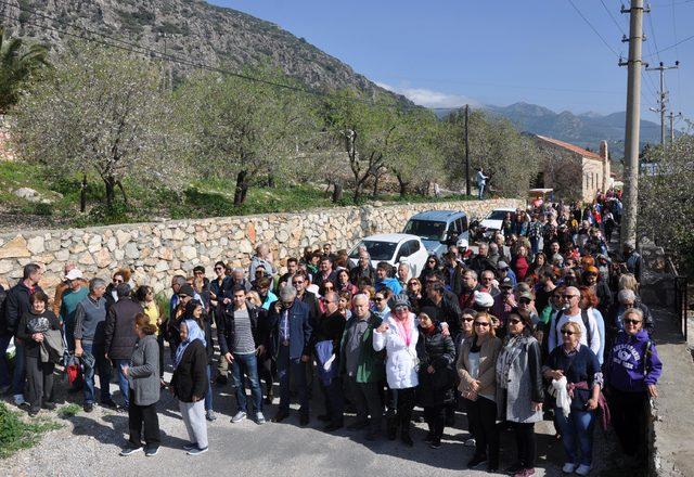 Yüzlerce doğa sevdalısı, badem ağaçları için yürüdü