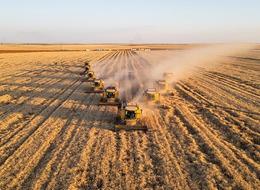 Tarım sigortası ile ilgili tüm merak edilenler! Hangi olaylarda ödeme yapılıyor, poliçe nasıl yaptırılır, prim nasıl hesaplanır?
