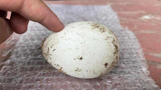 Gelir kapısı oldu! Sürekli soruyorlar, yoğun talep gelince... Türkiye'nin her yerine gönderiyorlar