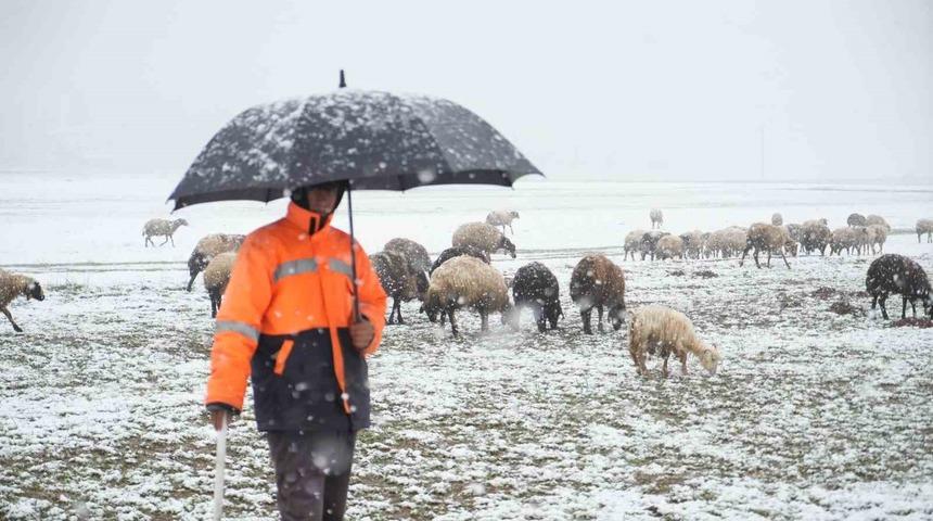 Muş’ta kar ve tipi küçükbaş hayvanları etkiledi