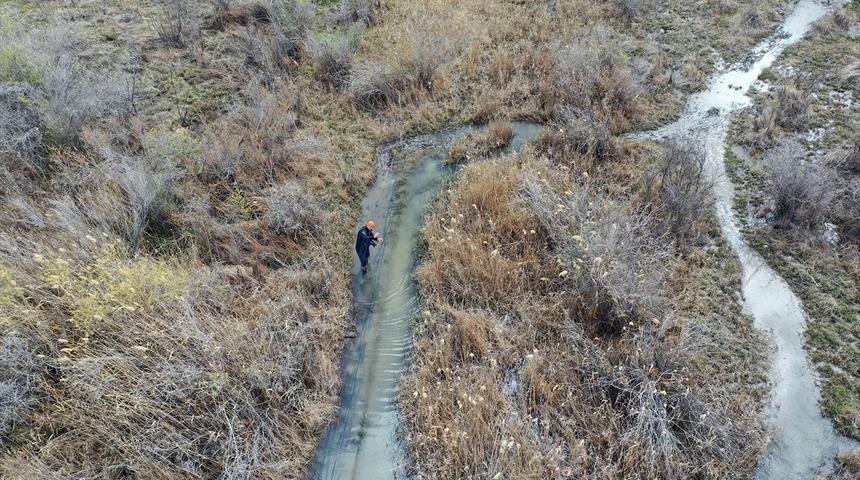 Iğdır'daki Aras Kuş Cenneti'nde ilkbaharda 1200 kuş halkalandı