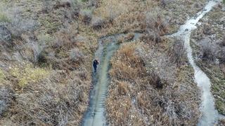 Iğdır'daki Aras Kuş Cenneti'nde ilkbaharda 1200 kuş halkalandı