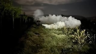 Düzce'de fındık ve tropikal meyve yetiştiricileriden zirai dona karşı sisleme yöntemi