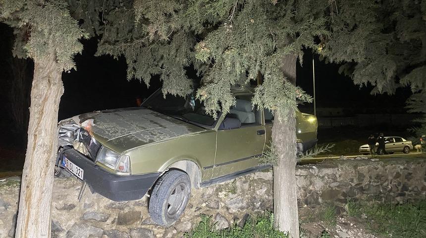 Sürücüsü kalp krizi geçiren otomobil ağaca çarptı: 1 ölü