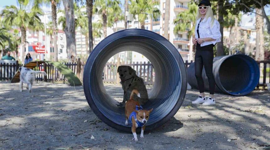 Mersin&rsquo;den patili dostlara &ouml;zel oyun parkı