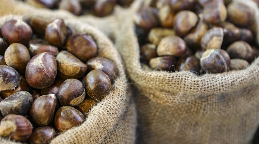 Diyette kestane yenir mi? Diyette kestane nasıl ve ne kadar yenilebilir?