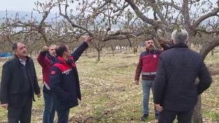 Zirai don Adıyaman'ı da vurdu! Hasar tespit çalışmaları devam ediyor