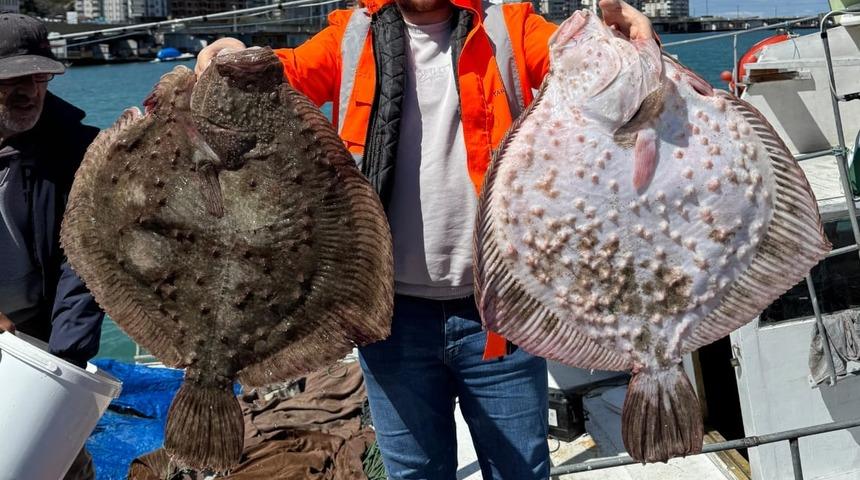 Sinop'ta av sezonunun son gününde kalkan balığı bereketi