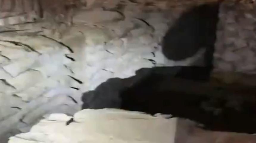 Terör yuvası kullanılmaz hale getirildi! Pençe Kilit bölgesinde terör örgütüne darbe