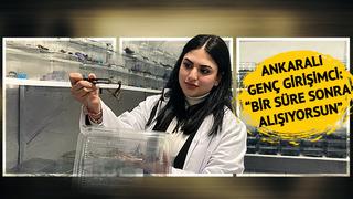 Kendi ürettiği zehri kendi tüketiyor! Ankaralı genç girişimci 3 bin mavi akreple bir arada yaşıyor: Bir süre sonra alışıyorsun