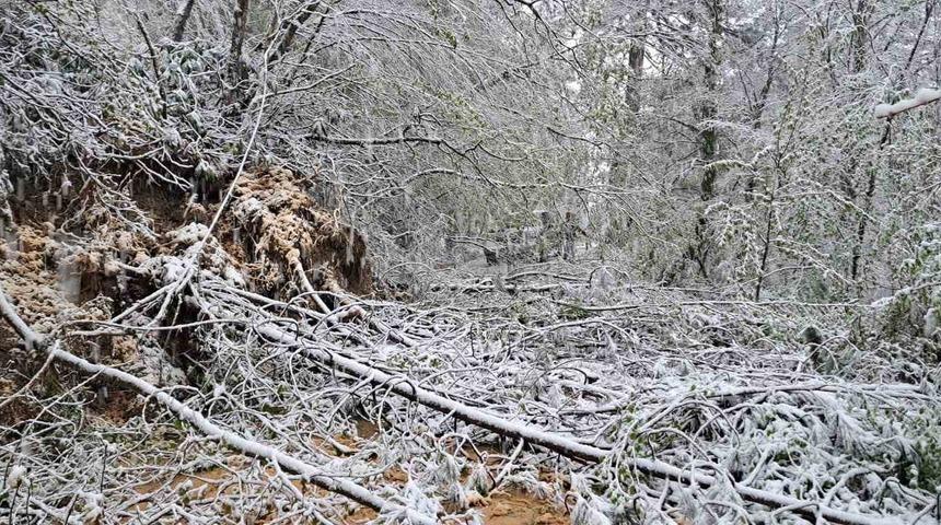 Heyelandan kapanan yol yeniden ulaşıma açıldı