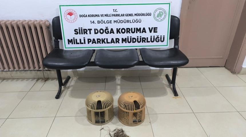 Siirt'te keklik avlayan 3 kişiye 111 bin 855 lira ceza verildi