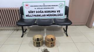 Siirt'te keklik avlayan 3 kişiye 111 bin 855 lira ceza verildi