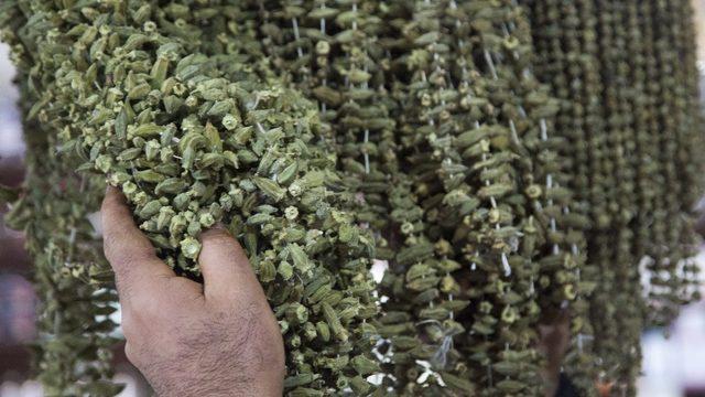 Bamyanın fiyatı kırmızı eti 3’e katladı