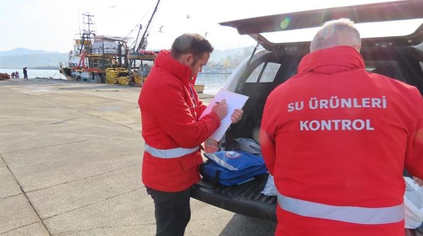 Trabzon'da kuralları ihlal eden balıkçıları 2 milyon TL'nin üzerinde para cezası